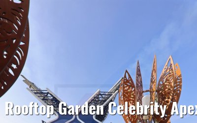 Rooftop Garden Celebrity Apex