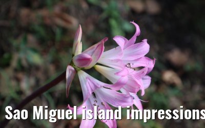 Sao Miguel island impressions 18.10.2022