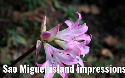 Sao Miguel island impressions 18.10.2022