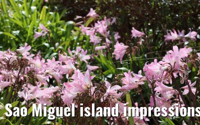 Sao Miguel island impressions 18.10.2022