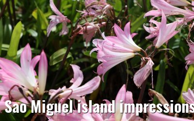 Sao Miguel island impressions 18.10.2022