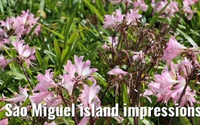 Sao Miguel island impressions 18.10.2022