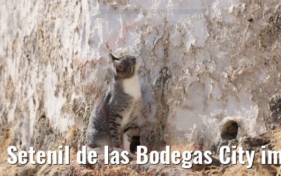 Setenil de las Bodegas City impressions 14.10.2022