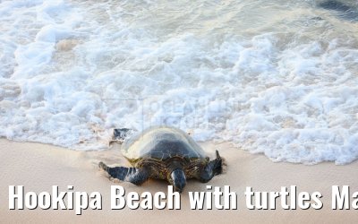 Hookipa Beach with turtles Maui 04.10.2024