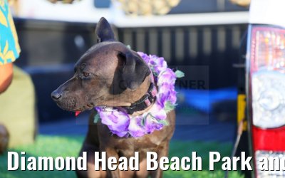 Diamond Head Beach Park and Coastline 05.10.2024