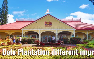 Dole Plantation different impressions Oahu Hawaii 05.10.2024