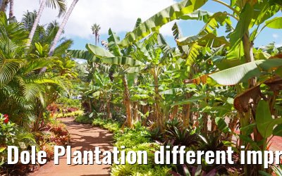 Dole Plantation different impressions Oahu Hawaii 05.10.2024