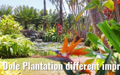 Dole Plantation different impressions Oahu Hawaii 05.10.2024