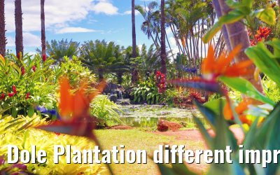 Dole Plantation different impressions Oahu Hawaii 05.10.2024