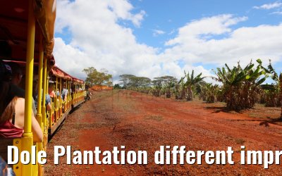 Dole Plantation different impressions Oahu Hawaii 05.10.2024