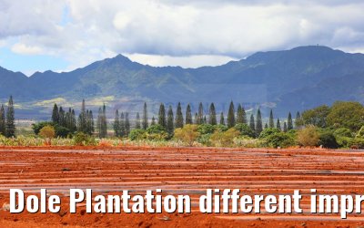 Dole Plantation different impressions Oahu Hawaii 05.10.2024