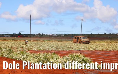 Dole Plantation different impressions Oahu Hawaii 05.10.2024