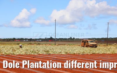 Dole Plantation different impressions Oahu Hawaii 05.10.2024