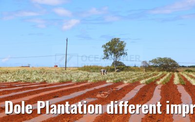 Dole Plantation different impressions Oahu Hawaii 05.10.2024