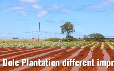 Dole Plantation different impressions Oahu Hawaii 05.10.2024