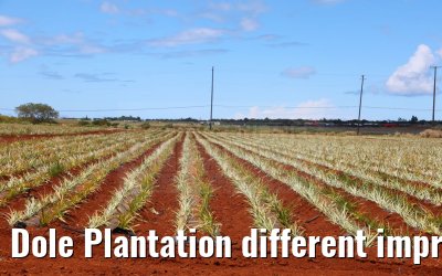 Dole Plantation different impressions Oahu Hawaii 05.10.2024