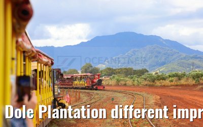 Dole Plantation different impressions Oahu Hawaii 05.10.2024
