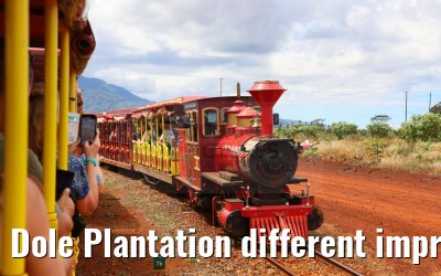 Dole Plantation different impressions Oahu Hawaii 05.10.2024