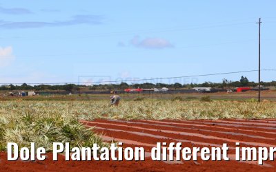 Dole Plantation different impressions Oahu Hawaii 05.10.2024