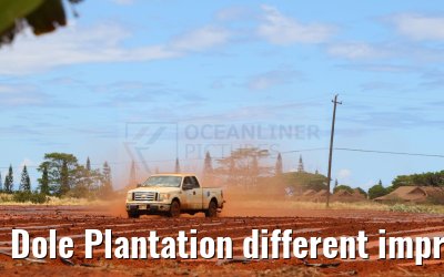 Dole Plantation different impressions Oahu Hawaii 05.10.2024