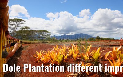 Dole Plantation different impressions Oahu Hawaii 05.10.2024