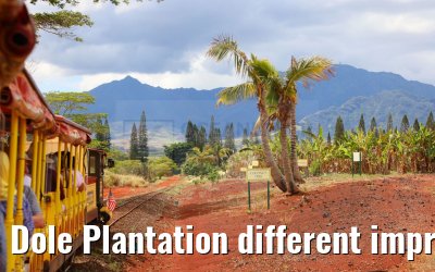 Dole Plantation different impressions Oahu Hawaii 05.10.2024
