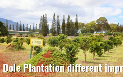 Dole Plantation different impressions Oahu Hawaii 05.10.2024