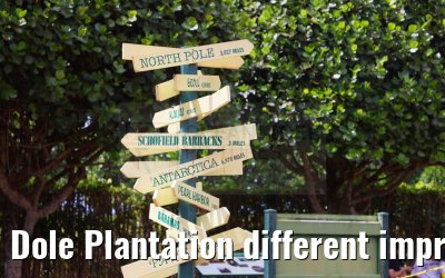 Dole Plantation different impressions Oahu Hawaii 05.10.2024