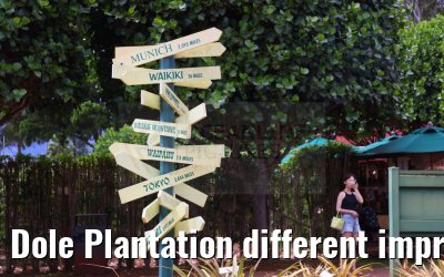 Dole Plantation different impressions Oahu Hawaii 05.10.2024