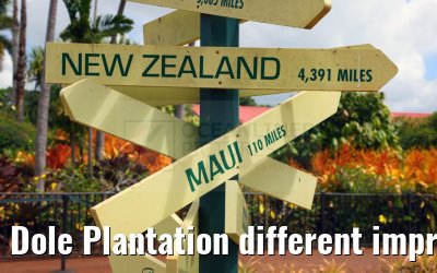 Dole Plantation different impressions Oahu Hawaii 05.10.2024
