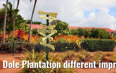 Dole Plantation different impressions Oahu Hawaii 05.10.2024