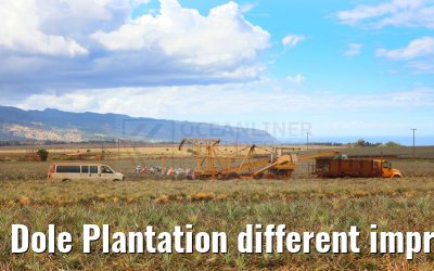 Dole Plantation different impressions Oahu Hawaii 05.10.2024