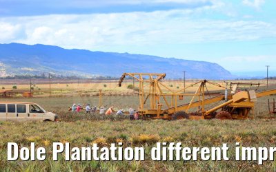 Dole Plantation different impressions Oahu Hawaii 05.10.2024
