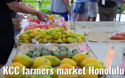 KCC farmers market Honolulu 05.10.2024
