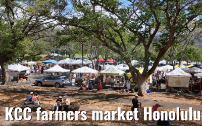 KCC farmers market Honolulu 05.10.2024