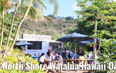 North Shore Waialua Hawaii Oahu 05.10.2024