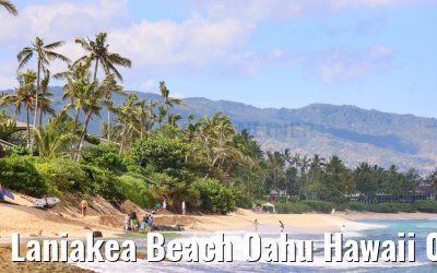 Laniakea Beach Oahu Hawaii 06.10.2024