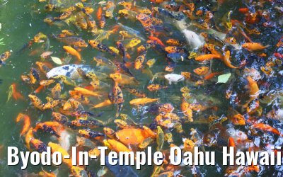 Byodo-In-Temple Oahu Hawaii 07.10.2024