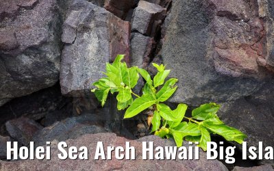 Holei Sea Arch Hawaii Big Island 27.09.2024