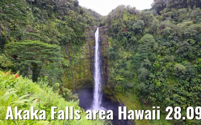 Akaka Falls area Hawaii 28.09.2024