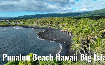 Punaluu Beach Hawaii Big Island 28.09.2024