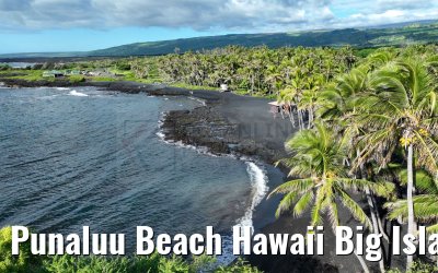 Punaluu Beach Hawaii Big Island 28.09.2024