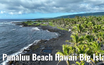Punaluu Beach Hawaii Big Island 28.09.2024
