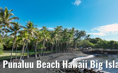 Punaluu Beach Hawaii Big Island 28.09.2024