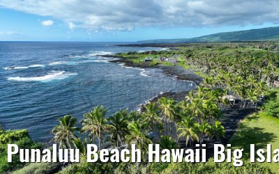 Punaluu Beach Hawaii Big Island 28.09.2024