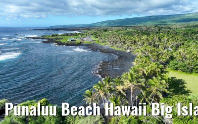 Punaluu Beach Hawaii Big Island 28.09.2024