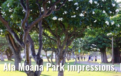 Ala Moana Park impressions, Honolulu 29.09.2024