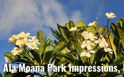 Ala Moana Park impressions, Honolulu 29.09.2024