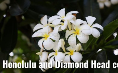 Honolulu and Diamond Head coastline impressions 29.09.2024