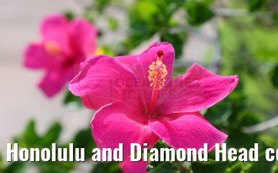 Honolulu and Diamond Head coastline impressions 29.09.2024